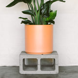 12 Inch Smooth Cylinder