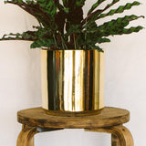 7 Inch Smooth Cylinder