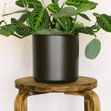 7 Inch Smooth Cylinder