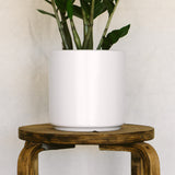 7 Inch Smooth Cylinder