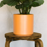 7 Inch Smooth Cylinder