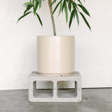 12 Inch Smooth Cylinder