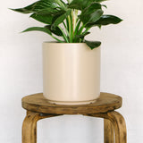 7 Inch Smooth Cylinder